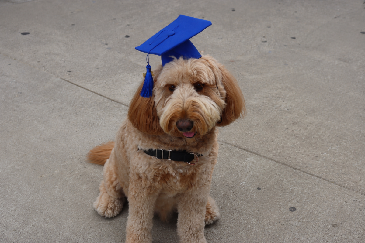 Maslow completes his four-year education 