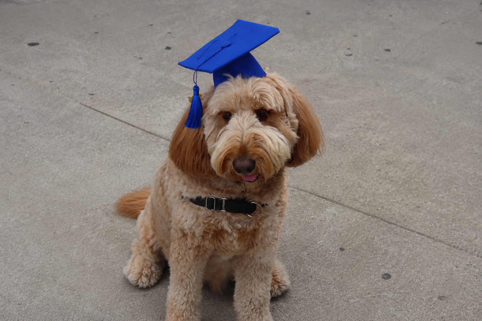 Maslow completes his four-year education 